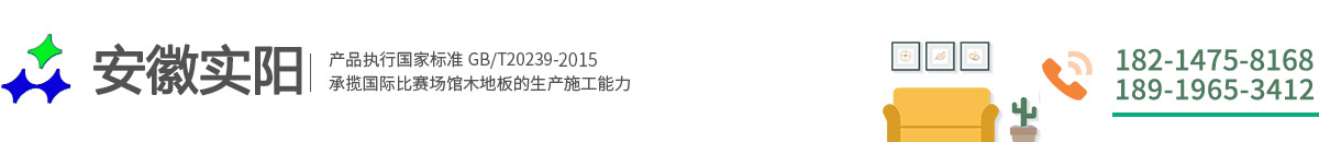 安徽實(shí)陽(yáng)體育設(shè)施工程有限公司